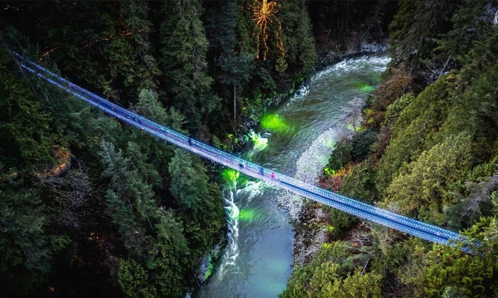 Capilano Suspension Bridge Canyon Lights in Vancouver