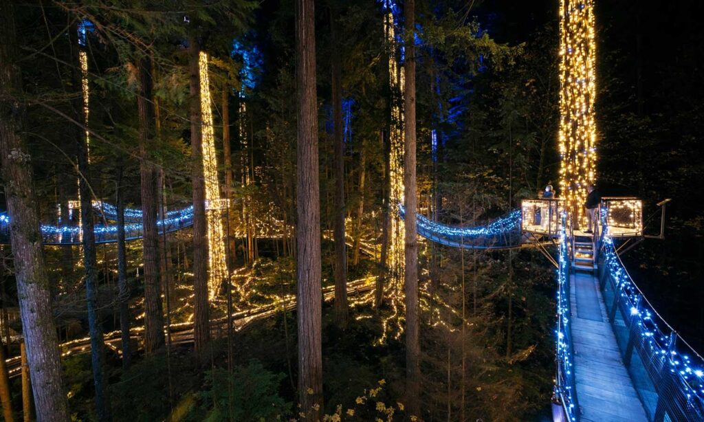 Capilano Suspension Bridge Canyon Lights in Vancouver