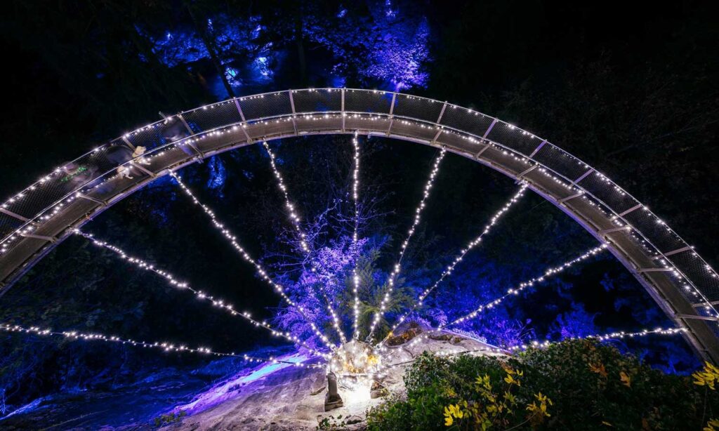 Capilano Suspension Bridge Canyon Lights in Vancouver