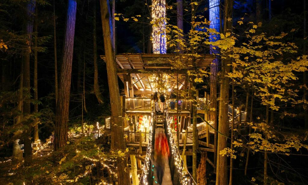 Capilano Suspension Bridge Canyon Lights in Vancouver