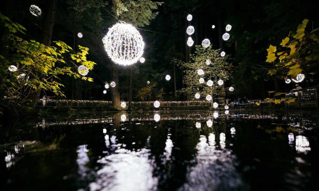 Capilano Suspension Bridge Canyon Lights in Vancouver