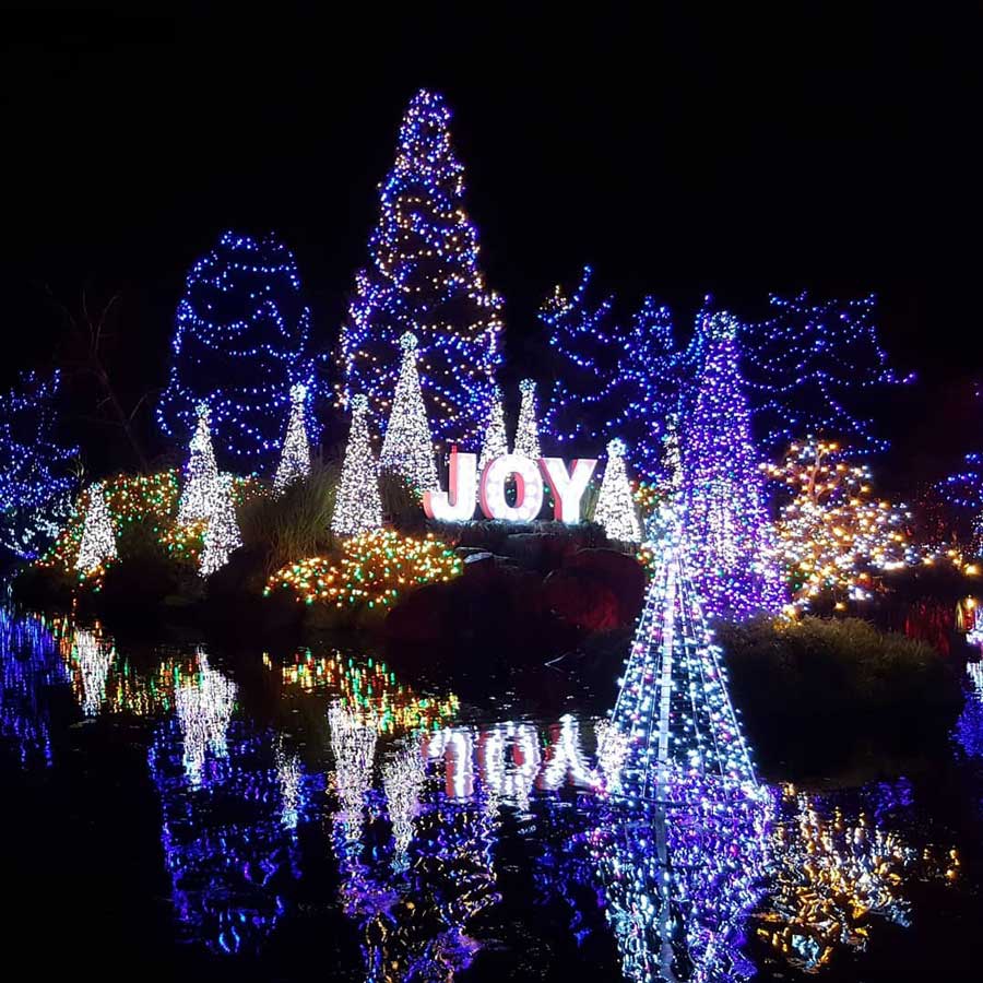 VanDusen Festival of Lights 2024 Vancouver Christmas