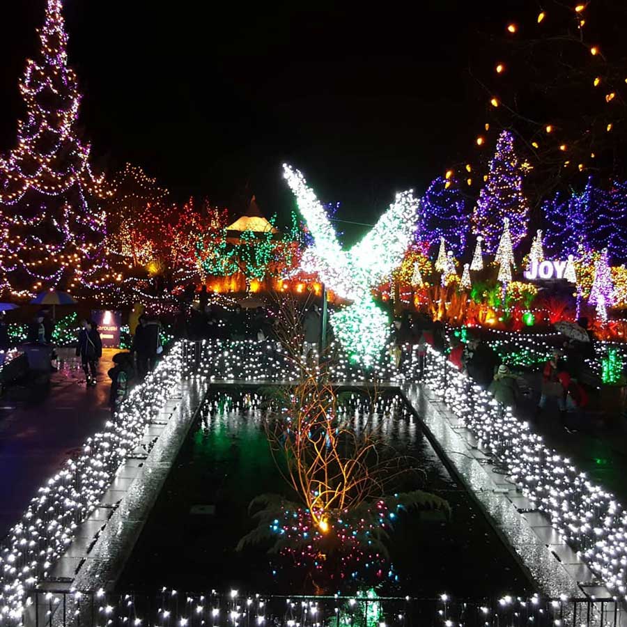 VanDusen Festival of Lights 2024 Vancouver Christmas