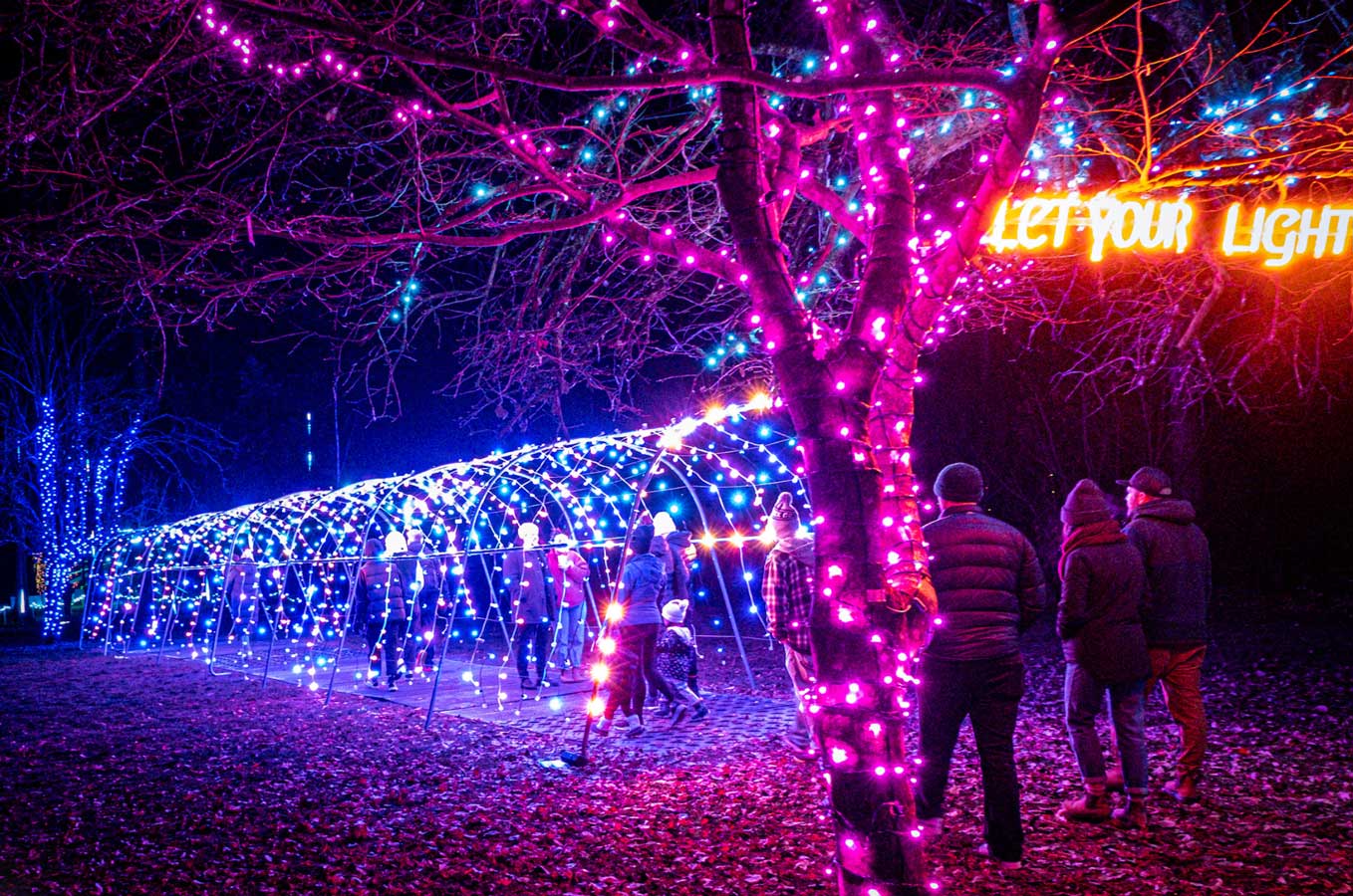 Squamish at Dusk 2025 - Vancouver Christmas