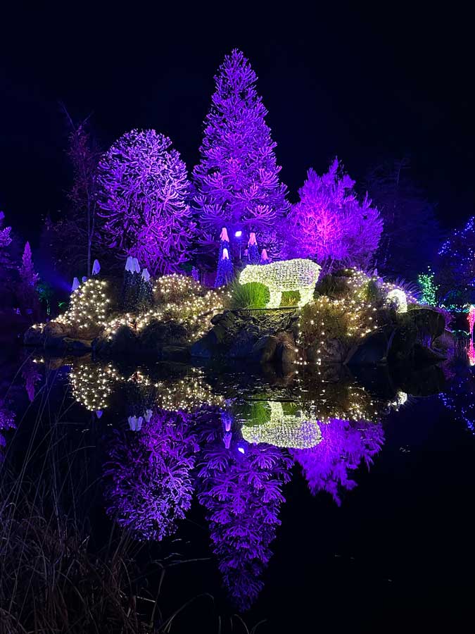 VanDusen Festival of Lights 2025 in Vancouver - Vancouver Christmas