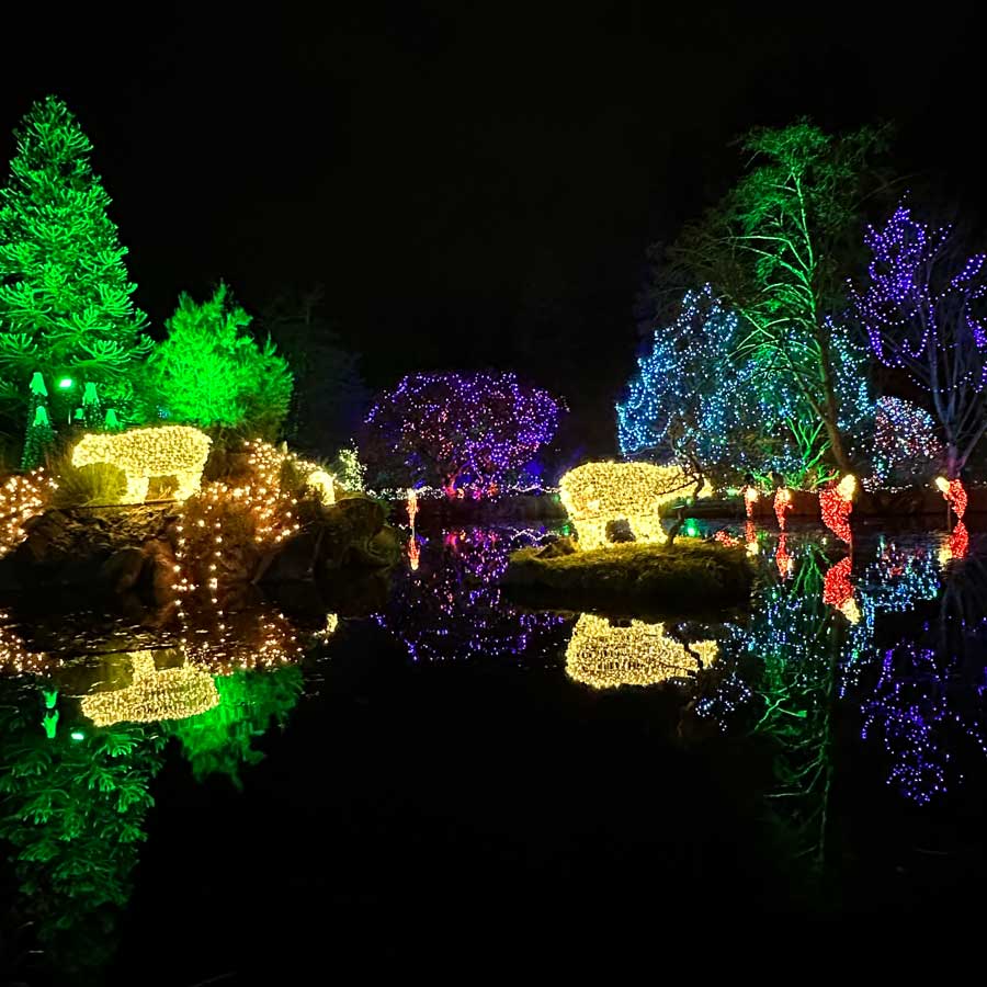 VanDusen Festival of Lights 2025 in Vancouver - Vancouver Christmas