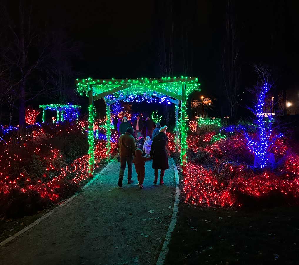 Lights at Lafarge in Coquitlam 2025 - Vancouver Christmas