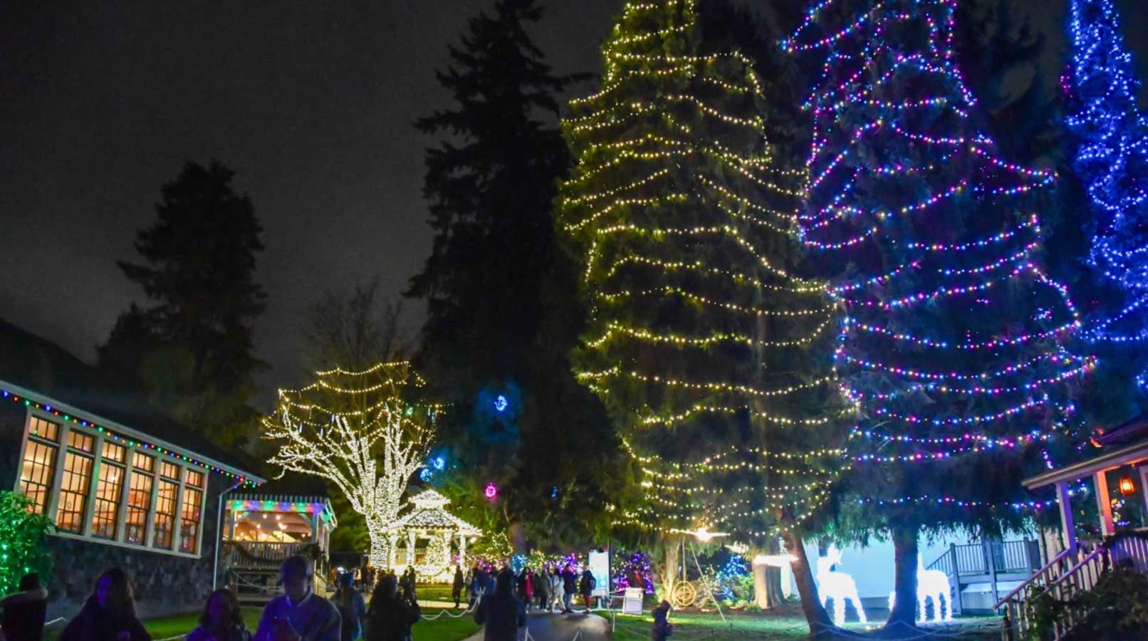 Bright in Burnaby Tree Lighting 2025 - Vancouver Christmas Guide