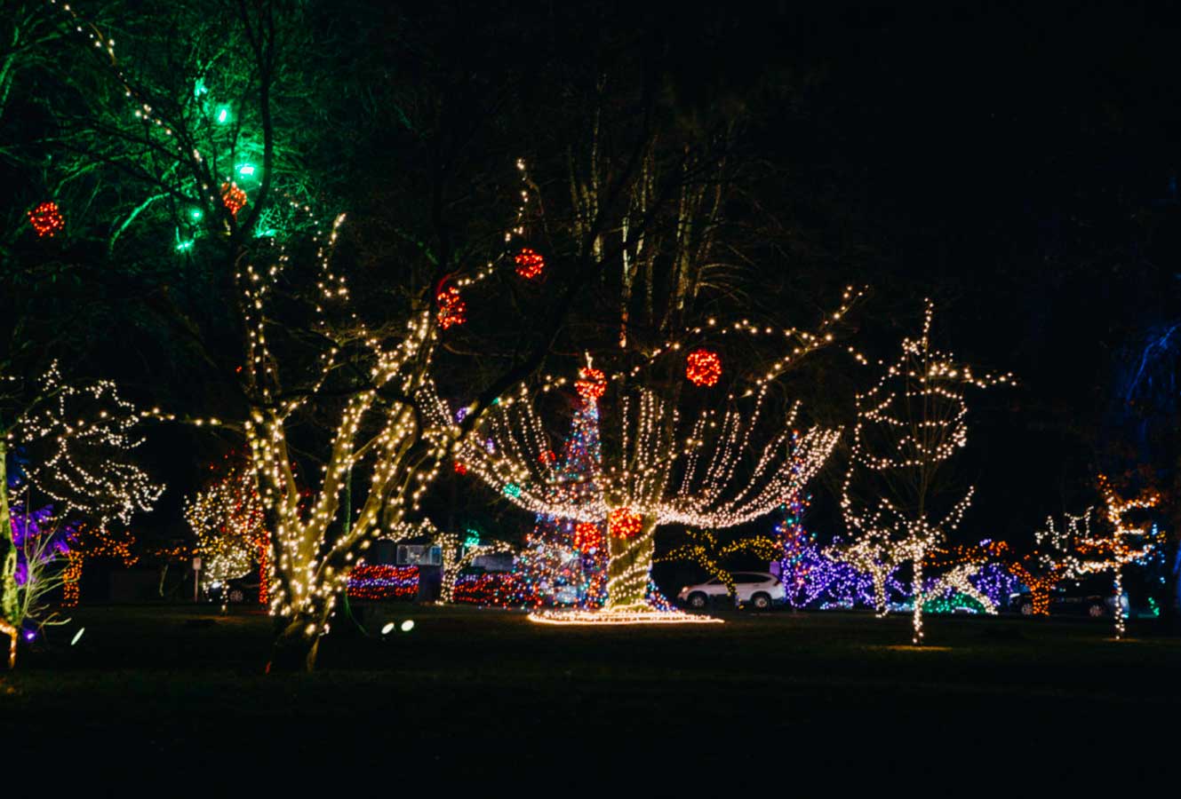 Holiday Lights in Williams Park, Langley - Vancouver Christmas