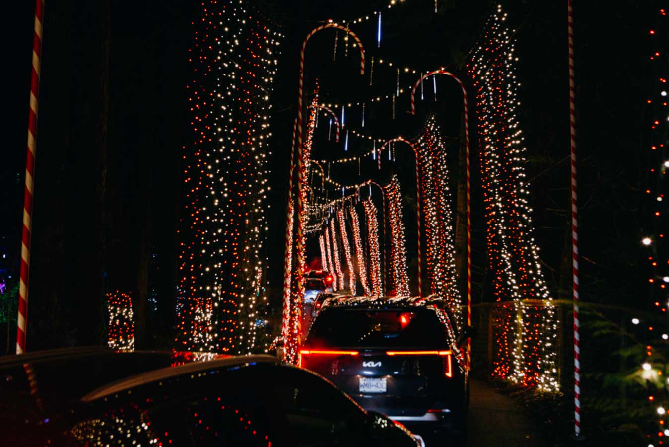 Holiday Lights in Williams Park, Langley - Vancouver Christmas