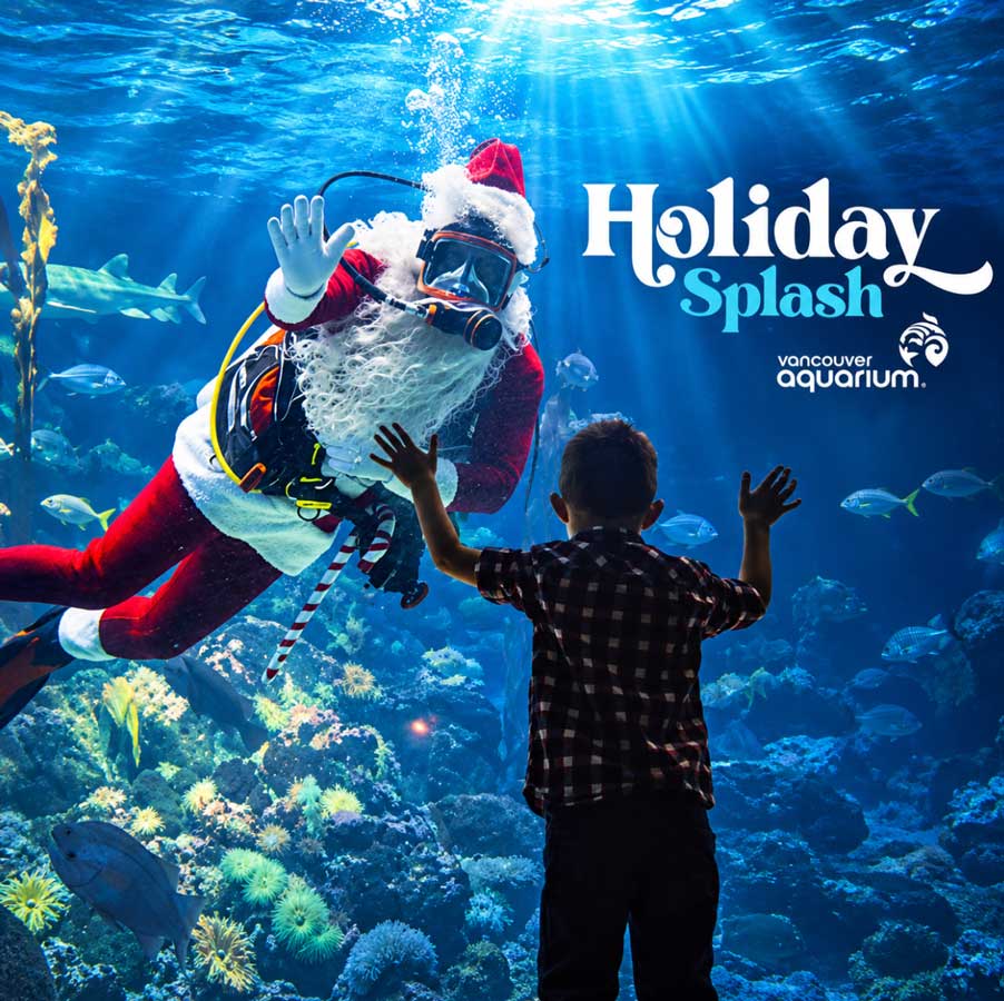 Holiday Splash at Vancouver Aquarium - Vancouver Christmas