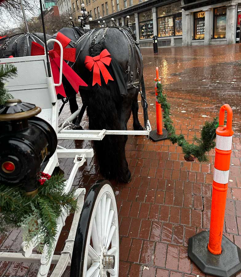 Magic of Gastown in Vancouver